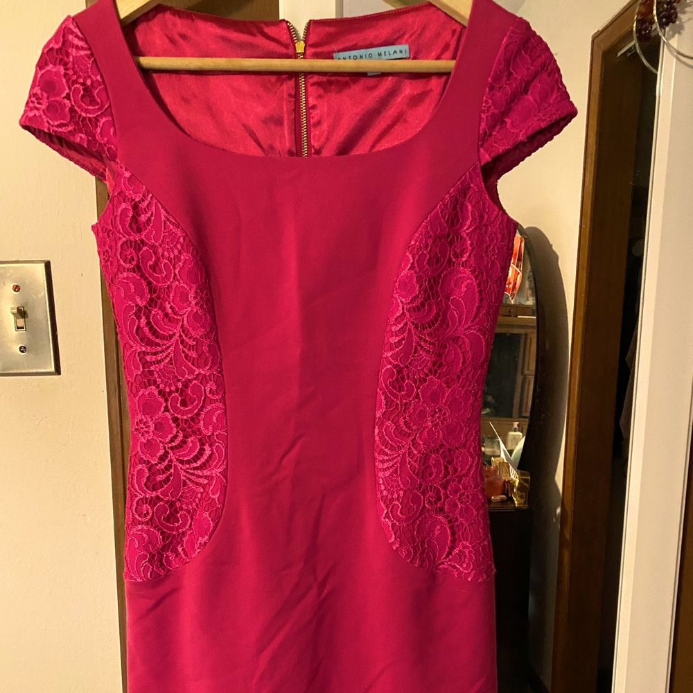 Antonio Melani pink dress size 0